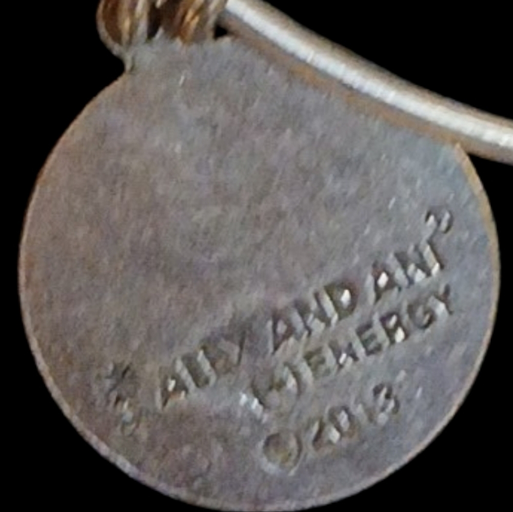 Alex and Ani - Silver Tone Wire Energy Infused Friend Charm Bracelet, Date 2013 - Picture 9 of 10